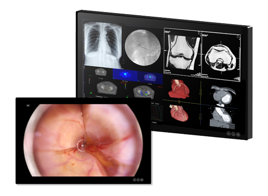 Surgery Begins with a <br>Clear View